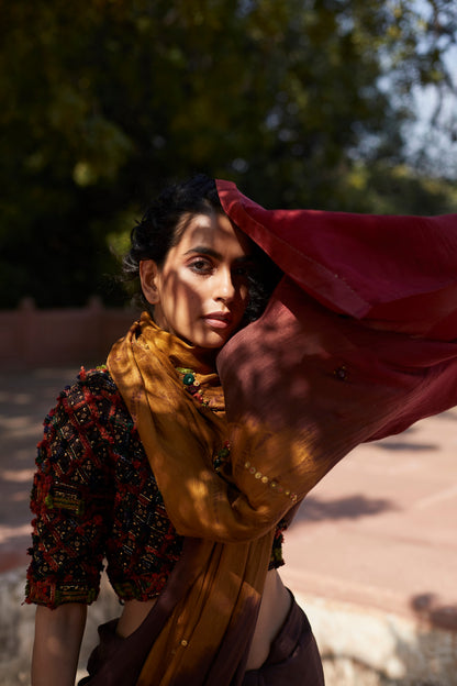 Brown Tie-Dye Hand Embellished Saree