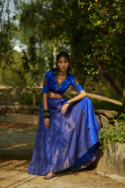 Peacock Blue Panelled Lehenga Set