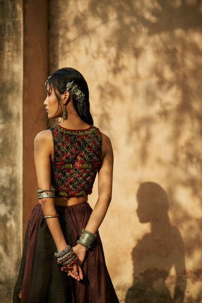 Brown & Black Panelled Lehenga Set