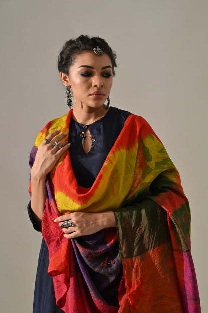 Blue Multi Panel Placement Kurta Set