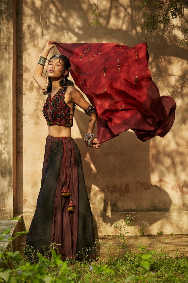 Brown & Black Panelled Lehenga Set