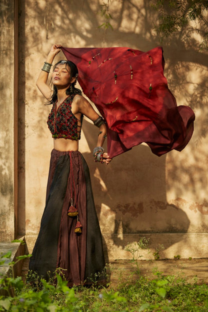 Brown & Black Panelled Lehenga Set