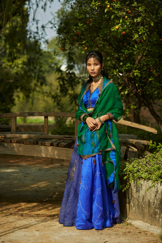 Peacock Blue Panelled Lehenga Set